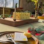 طراحی و تولید محصولات دکوراتیو /کاربردی