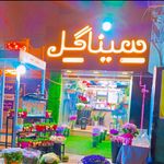سینا گل شعبه 2فرهنگ شهر