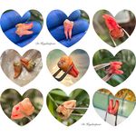 مطب دندانپزشکی تخصصی دکتر زینب حیدری پور