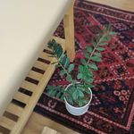 مرکز سلامت زنان مأوای جان