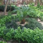 شرکت سمپاشی شیمی گستر
