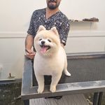 کلینیک دامپزشکی پاندورا