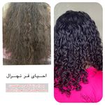 کوتاهی مو غزال/ فر دائم مشهد