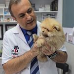 کلینیک دامپزشکی دکتر پُرکار