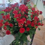 خانه گل مَری