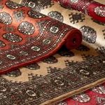 قالیشویی ابریشم اصل پردیس
