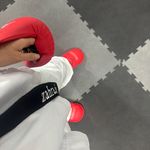 مربی کاراته کنترلی