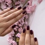 مرکز خدمات تخصصی  ناخن آهو