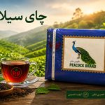 پخش چای وخشکبار آیلار
