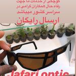 عينك جعفرى (بینایی سنجی جعفری)