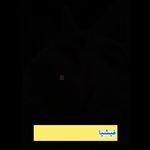 کلینیک زیبایی و مرکز لیزر نورا