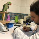 کلینیک دامپزشکی و پت شاپ جم