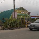 بازار گل فومنات