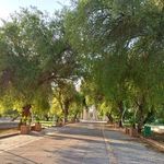 بوستان شیخ انصاری