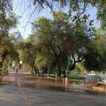 بوستان شیخ انصاری