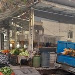 میوه فروشی سلیمی