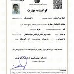 علیداد نومیشی