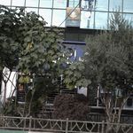 بانک صادرات  امین الملک (476)
