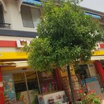 توت مارکت