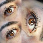 اکستنشن مژه و لیفت مژه و ابرو روشا