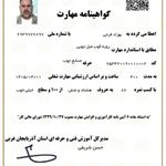 بهزاد فرجی