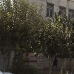 حسینیه هیئت متوسلین حضرت علی اصغر(ع)