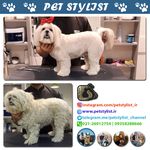 پت استایلیست