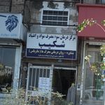 دکوراسیون لیون