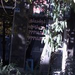 تاکسی دنیا