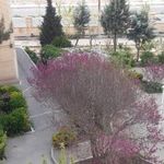مجتمع مسکونی پرنیان