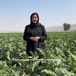 کلینیک و داروخانه گیاه پزشکی دراگاهی
