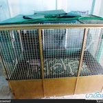 مقبره لوط نبی