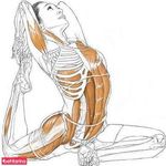 مربی یوگا بانوان و بادی استرچ و یوگای بارداری