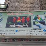 پرنده سرای وایدا
