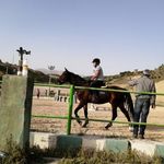 مجموعه سوارکاری کوثر