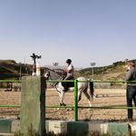 مجموعه سوارکاری کوثر