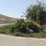 پارک پردیس اشراق