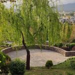پارک لاله ها