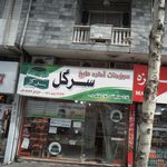 سبزیجات آماده به طبخ نعناع