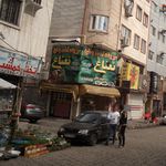 سبزیجات آماده به طبخ نعناع