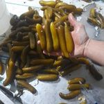 خیارشور و سیر ترشی محله