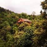 اقامتگاه ساحلی ویلایی یاس رامسر