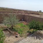 مسجد قدیمی