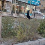 ایستگاه اتوبوس صبا 61