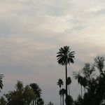 کمپ ستارگان رغز