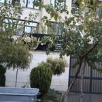 پیرایش برتر