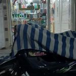 بهداشتی رضا