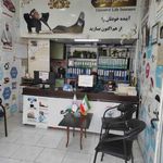 نمایندگی بیمه ملت