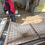 نانوایی سنگکی