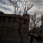 دکتر مهام